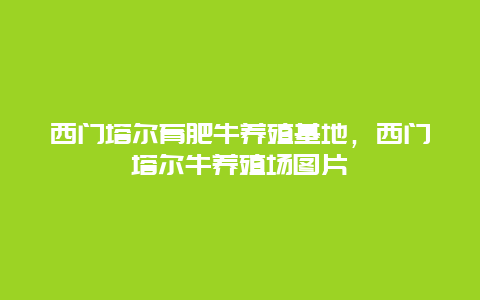 西门塔尔育肥牛养殖基地，西门塔尔牛养殖场图片