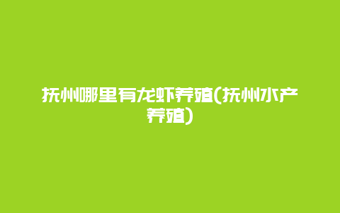 抚州哪里有龙虾养殖(抚州水产养殖)