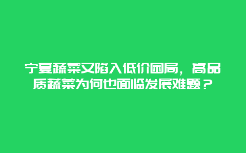 宁夏蔬菜又陷入低价困局，高品质蔬菜为何也面临发展难题？