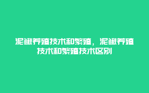 泥鳅养殖技术和繁殖，泥鳅养殖技术和繁殖技术区别