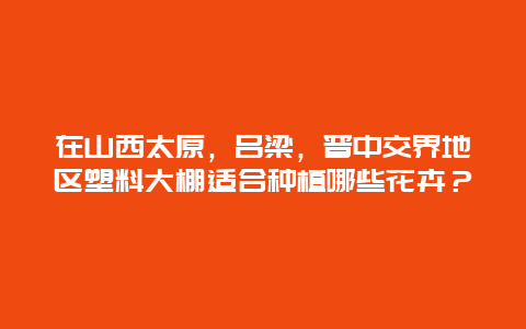 在山西太原，吕梁，晋中交界地区塑料大棚适合种植哪些花卉？