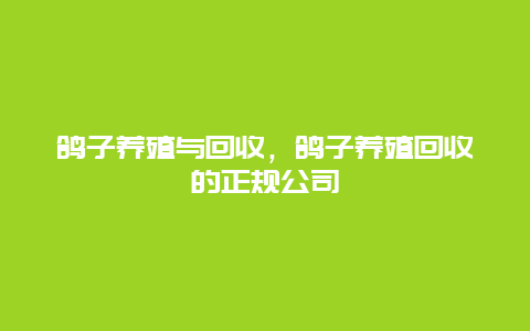 鸽子养殖与回收，鸽子养殖回收的正规公司