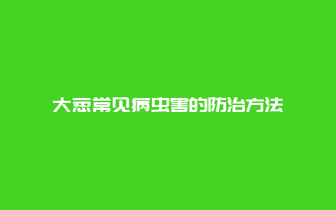 大葱常见病虫害的防治方法