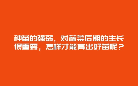 种苗的强弱，对蔬菜后期的生长很重要，怎样才能育出好苗呢？