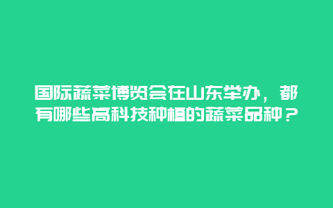 国际蔬菜博览会在山东举办，都有哪些高科技种植的蔬菜品种？