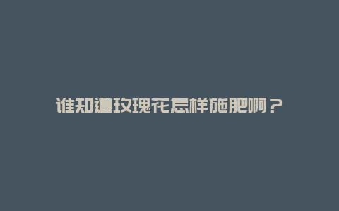 谁知道玫瑰花怎样施肥啊？