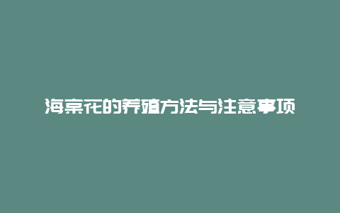 海棠花的养殖方法与注意事项