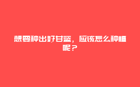 想要种出好甘蓝，应该怎么种植呢？