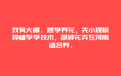 我有大棚。想学养花，先小规模种植学学技术，哪种花卉在河南适合养。