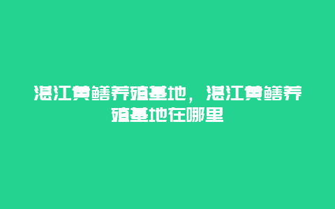 湛江黄鳝养殖基地，湛江黄鳝养殖基地在哪里