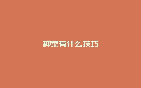 种菜有什么技巧