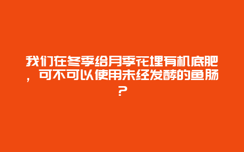 我们在冬季给月季花埋有机底肥，可不可以使用未经发酵的鱼肠？