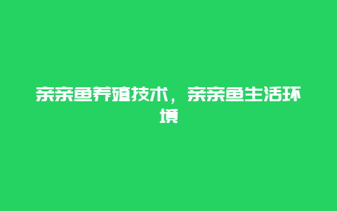 亲亲鱼养殖技术，亲亲鱼生活环境