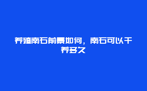 养殖南石前景如何，南石可以干养多久