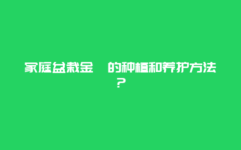 家庭盆栽金桔的种植和养护方法？