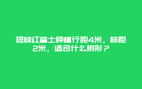 短枝红富士种植行距4米，株距2米，适合什么树形？