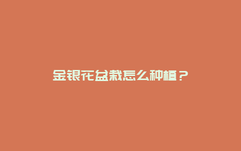 金银花盆栽怎么种植？