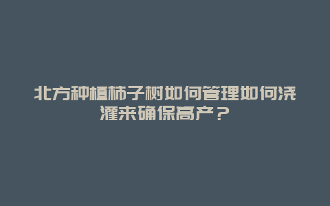 北方种植柿子树如何管理如何浇灌来确保高产？