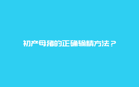 初产母猪的正确输精方法？