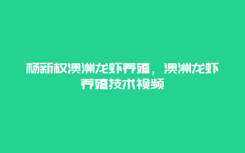 杨新权澳洲龙虾养殖，澳洲龙虾养殖技术视频