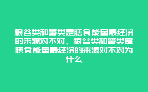 粮谷类和薯类是膳食能量最经济的来源对不对，粮谷类和薯类是膳食能量最经济的来源对不对为什么