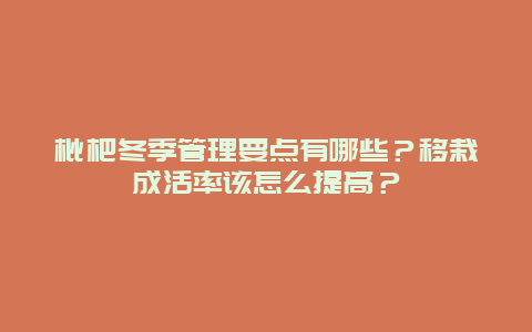 枇杷冬季管理要点有哪些？移栽成活率该怎么提高？