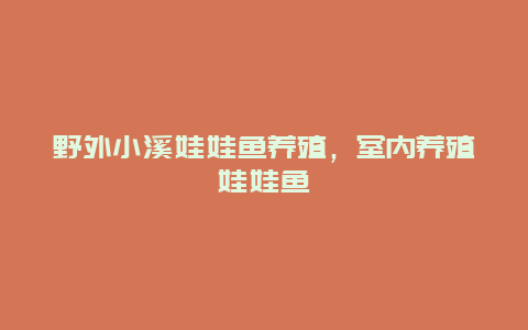 野外小溪娃娃鱼养殖，室内养殖娃娃鱼