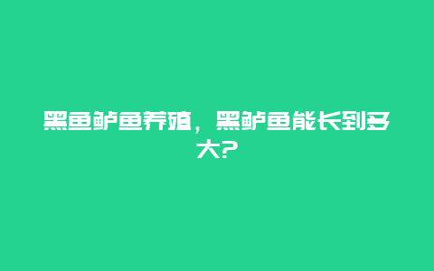 黑鱼鲈鱼养殖，黑鲈鱼能长到多大?