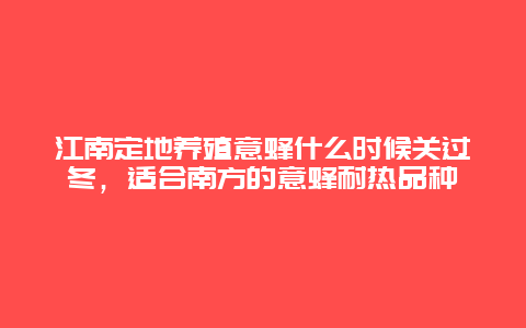 江南定地养殖意蜂什么时候关过冬，适合南方的意蜂耐热品种