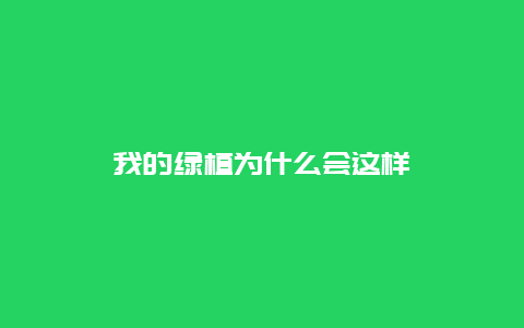 我的绿植为什么会这样