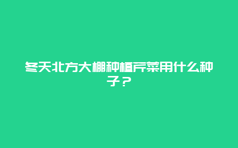 冬天北方大棚种植芹菜用什么种子？