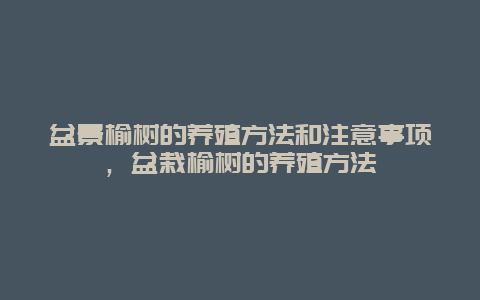 盆景榆树的养殖方法和注意事项，盆栽榆树的养殖方法