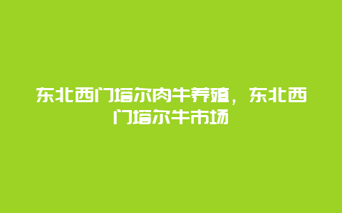 东北西门塔尔肉牛养殖，东北西门塔尔牛市场