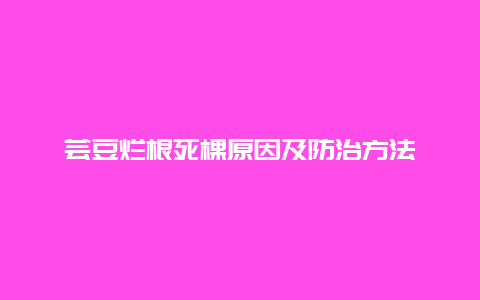 芸豆烂根死棵原因及防治方法