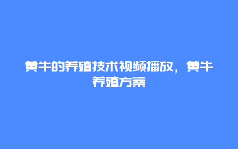 黄牛的养殖技术视频播放，黄牛养殖方案