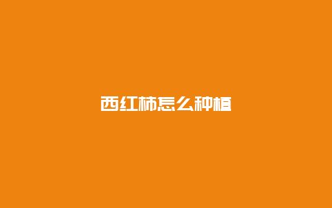 西红柿怎么种植