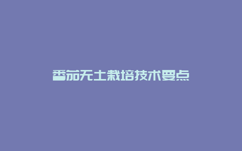 番茄无土栽培技术要点