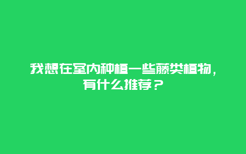 我想在室内种植一些藤类植物，有什么推荐？