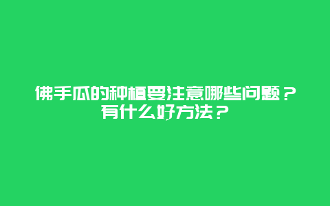 佛手瓜的种植要注意哪些问题？有什么好方法？