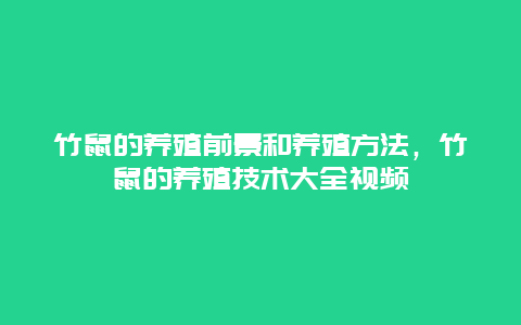 竹鼠的养殖前景和养殖方法，竹鼠的养殖技术大全视频