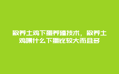 散养土鸡下蛋养殖技术，散养土鸡喂什么下蛋比较大而且多