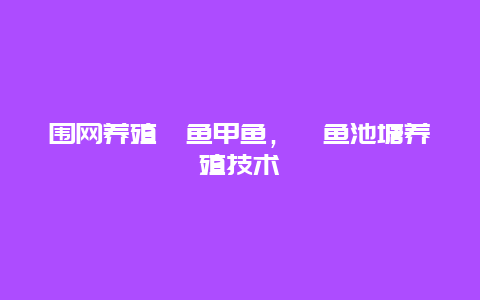 围网养殖鳜鱼甲鱼，鳜鱼池塘养殖技术