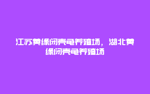 江苏黄缘闭壳龟养殖场，湖北黄缘闭壳龟养殖场