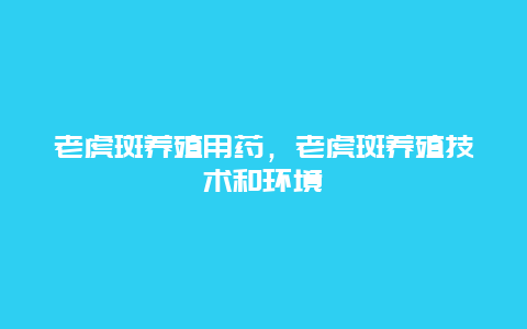 老虎斑养殖用药，老虎斑养殖技术和环境