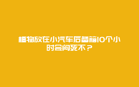 植物放在小汽车后备箱10个小时会闷死不？