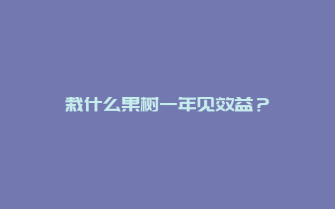 栽什么果树一年见效益？