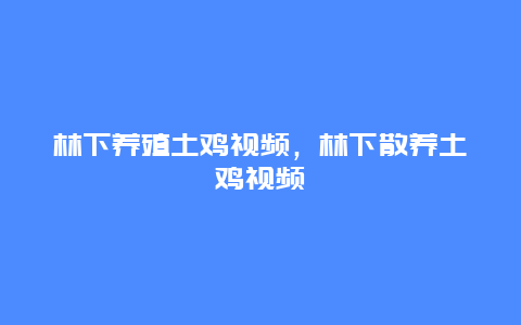 林下养殖土鸡视频，林下散养土鸡视频