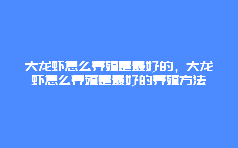 大龙虾怎么养殖是最好的，大龙虾怎么养殖是最好的养殖方法