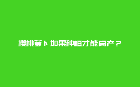 樱桃萝卜如果种植才能高产？