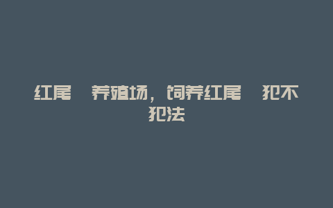 红尾蚺养殖场，饲养红尾蚺犯不犯法